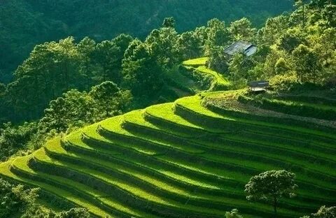 Hotspot Matrix và 3 kiểu giày 