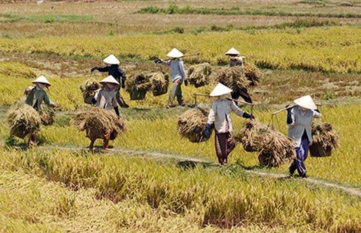 Hotspot Matrix: Đòn Bẩy Thành Công Cho Startup Của Bạn
