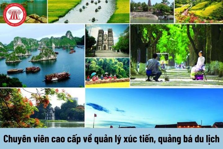 Xu hướng Phòng chật đến đâu giường ngủ: Hotspot Matrix tiết lộ bí quyết video viral