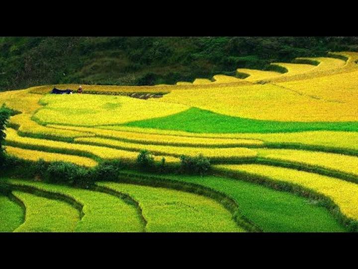Xu hướng Gánh nặng làm con nhà: Hotspot Matrix tiết lộ bí quyết video viral