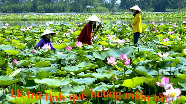 Chuyên gia Hotspot Matrix phân tích: 5 gian hàng quốc tế trên sàn và marketing video